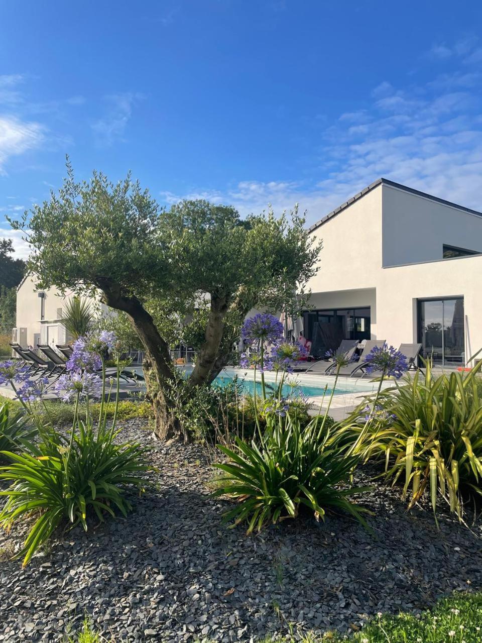 Villa De Groupe Avec Piscine, Jacuzzi Et Vue Nature Pierric Exterior photo